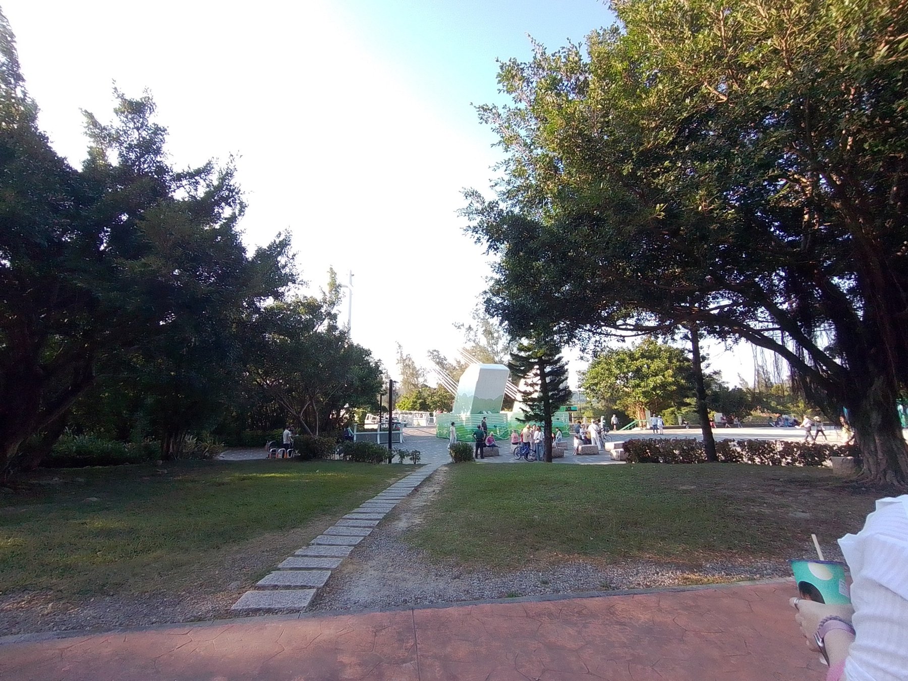 橋頭園區的草地與大樹